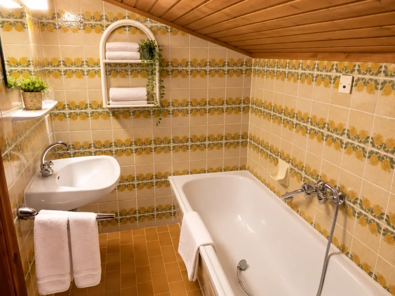 Haus Alpina   badkamer 3