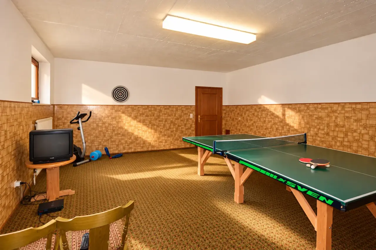 Haus Alpina   Spelletjeskelder 2