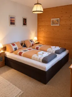 Haus Rudigier   Kamer 3 a
